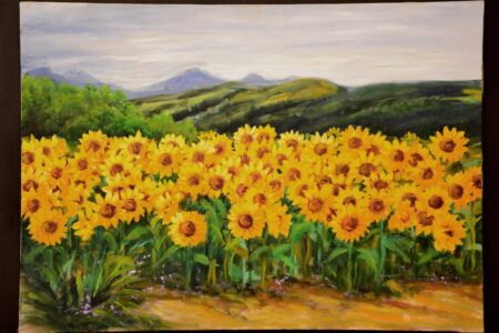 CARPANELLI 50X70