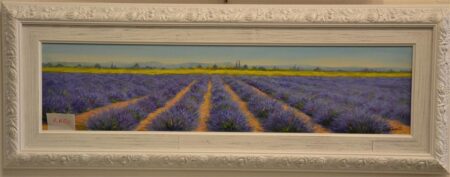 CARPANELLI. 20×80